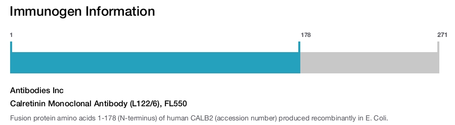 Calretinin Monoclonal Antibody (L122/6), FL550