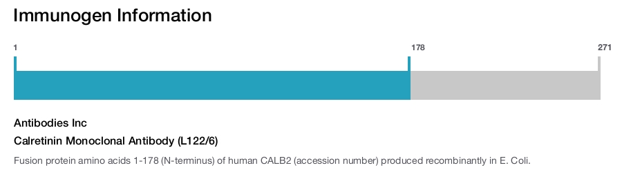 Calretinin Monoclonal Antibody (L122/6)