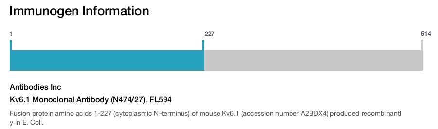 Kv6.1 Monoclonal Antibody (N474/27), FL594