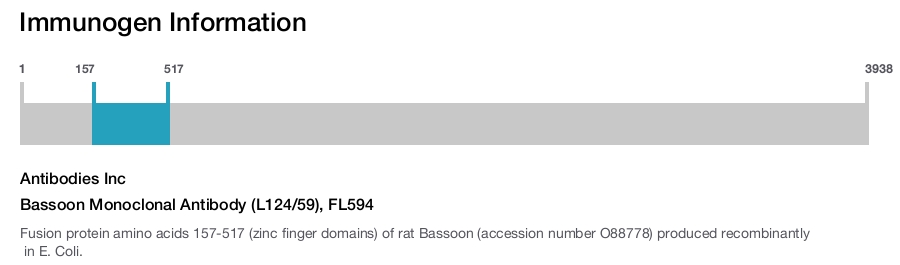 Bassoon Monoclonal Antibody (L124/59), FL594