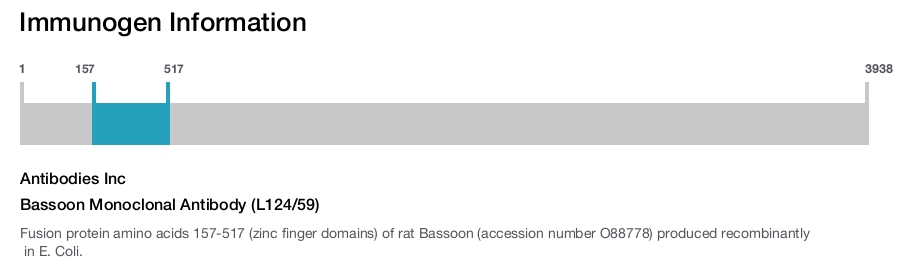 Bassoon Monoclonal Antibody (L124/59)
