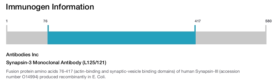 Synapsin-3 Monoclonal Antibody (L125/121)