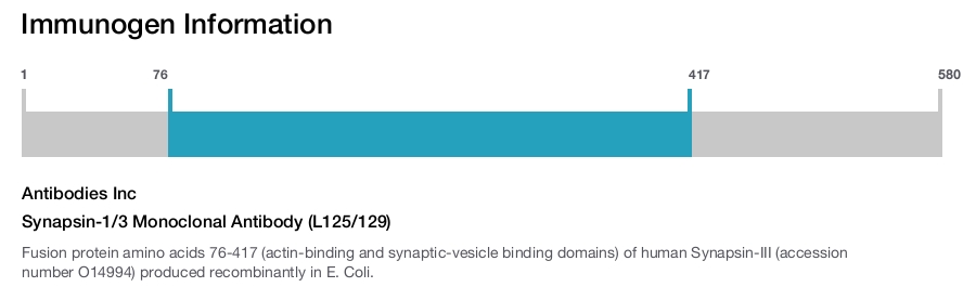 Synapsin-1/3 Monoclonal Antibody (L125/129)