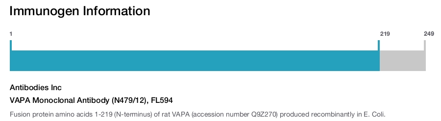 VAPA Monoclonal Antibody (N479/12), FL594