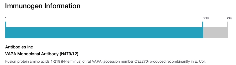 VAPA Monoclonal Antibody (N479/12)