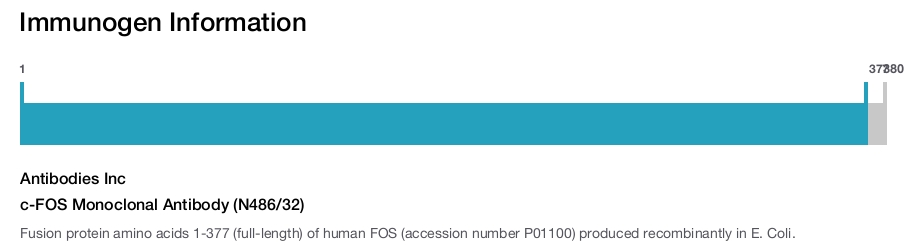 c-FOS Monoclonal Antibody (N486/32)