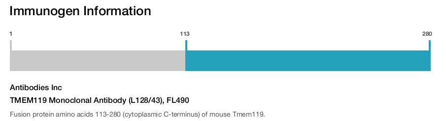TMEM119 Monoclonal Antibody (L128/43), FL490