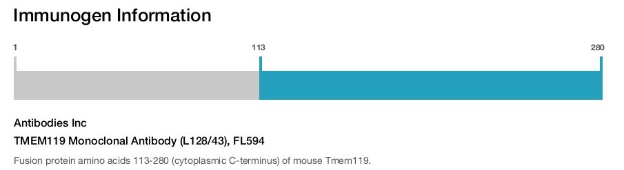 TMEM119 Monoclonal Antibody (L128/43), FL594