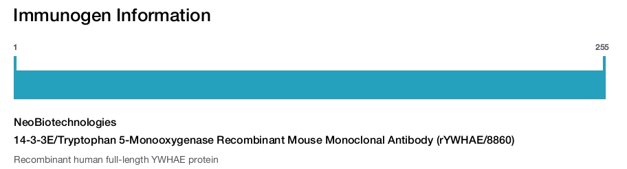 14-3-3E/Tryptophan 5-Monooxygenase Recombinant Mouse Monoclonal Antibody (rYWHAE/8860)
