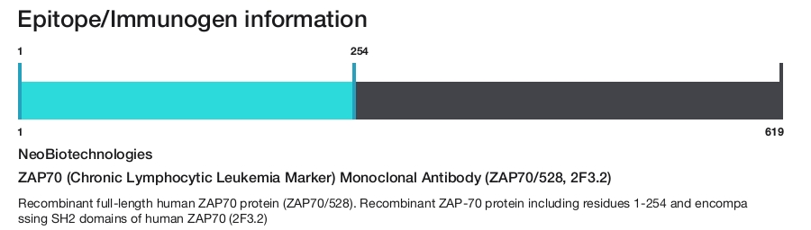 ZAP70 (Chronic Lymphocytic Leukemia Marker) Monoclonal Antibody (ZAP70/528, 2F3.2)