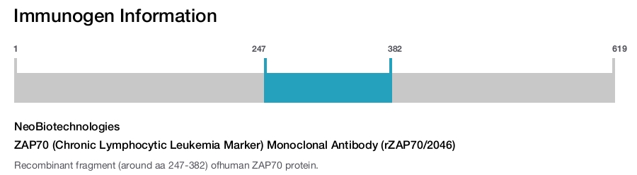 ZAP70 (Chronic Lymphocytic Leukemia Marker) Monoclonal Antibody (rZAP70/2046)
