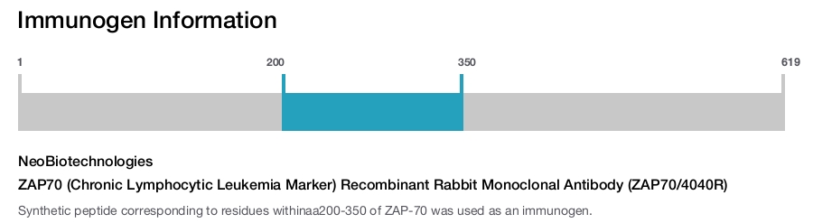 ZAP70 (Chronic Lymphocytic Leukemia Marker) Recombinant Rabbit Monoclonal Antibody (ZAP70/4040R)