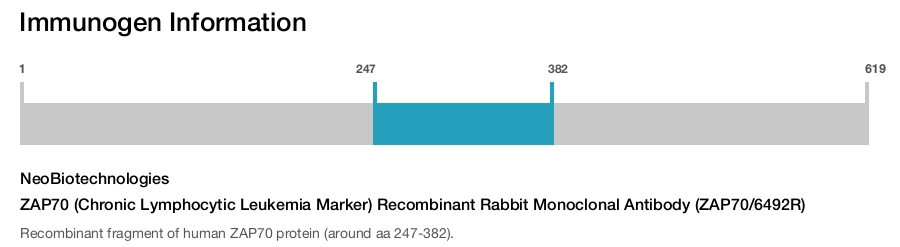 ZAP70 (Chronic Lymphocytic Leukemia Marker) Recombinant Rabbit Monoclonal Antibody (ZAP70/6492R)