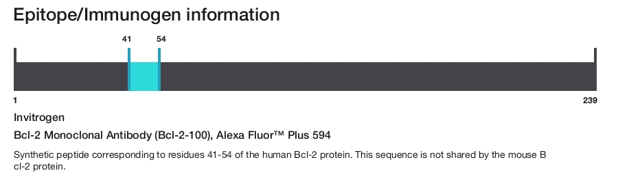 Bcl-2 Monoclonal Antibody (Bcl-2-100), Alexa Fluor&trade; Plus 594