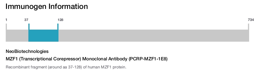 MZF1 (Transcriptional Corepressor) Monoclonal Antibody (PCRP-MZF1-1E8)