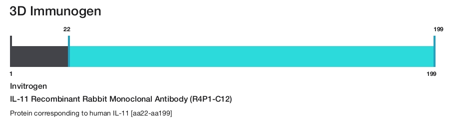 IL-11 Recombinant Rabbit Monoclonal Antibody (R4P1-C12)