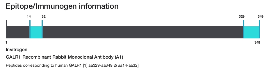 GALR1 Recombinant Rabbit Monoclonal Antibody (A1)
