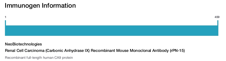 Renal Cell Carcinoma (Carbonic Anhydrase IX) Recombinant Mouse Monoclonal Antibody (rPN-15)