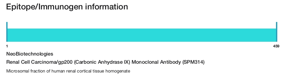 Renal Cell Carcinoma/gp200 (Carbonic Anhydrase IX) Monoclonal Antibody (SPM314)
