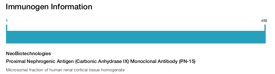 Proximal Nephrogenic Antigen (Carbonic Anhydrase IX) Monoclonal Antibody (PN-15)