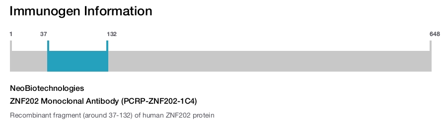 ZNF202 Monoclonal Antibody (PCRP-ZNF202-1C4)