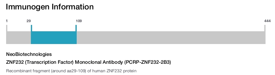 ZNF232 (Transcription Factor) Monoclonal Antibody (PCRP-ZNF232-2B3)