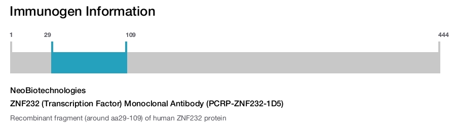 ZNF232 (Transcription Factor) Monoclonal Antibody (PCRP-ZNF232-1D5)