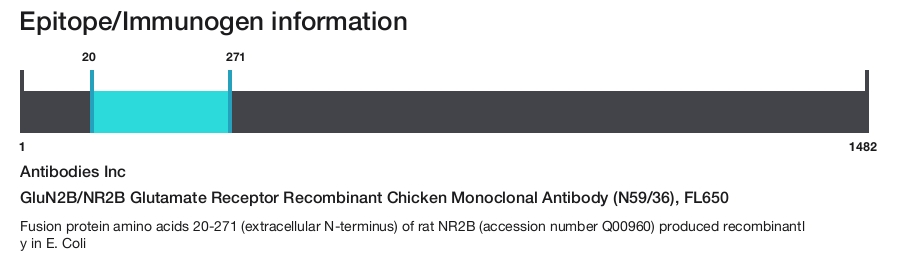 GluN2B/NR2B Glutamate Receptor Recombinant Chicken Monoclonal Antibody (N59/36), FL650