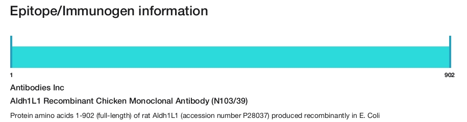 Aldh1L1 Recombinant Chicken Monoclonal Antibody (N103/39)