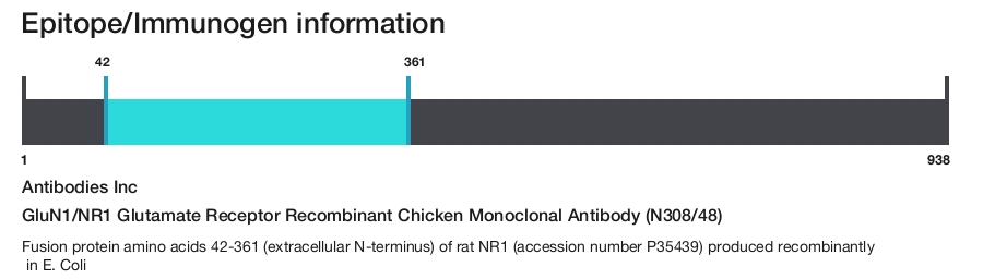 GluN1/NR1 Glutamate Receptor Recombinant Chicken Monoclonal Antibody (N308/48)