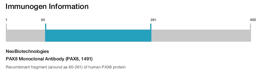 PAX8 Monoclonal Antibody (PAX8, 1491)