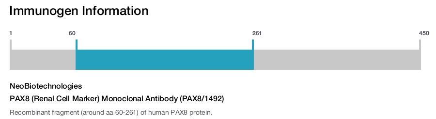 PAX8 (Renal Cell Marker) Monoclonal Antibody (PAX8/1492)