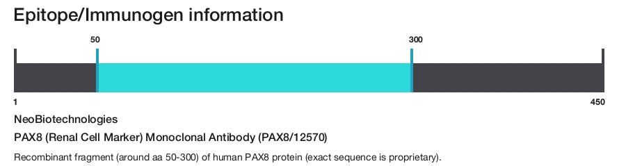 PAX8 (Renal Cell Marker) Monoclonal Antibody (PAX8/12570)