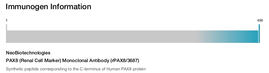 PAX8 (Renal Cell Marker) Monoclonal Antibody (rPAX8/3687)