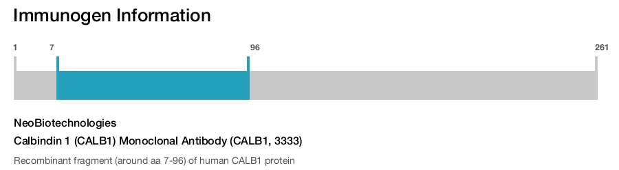 Calbindin 1 (CALB1) Monoclonal Antibody (CALB1, 3333)