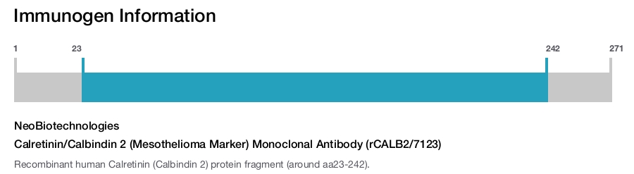 Calretinin/Calbindin 2 (Mesothelioma Marker) Monoclonal Antibody (rCALB2/7123)
