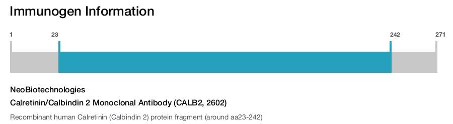 Calretinin/Calbindin 2 Monoclonal Antibody (CALB2, 2602)