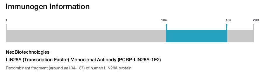 LIN28A (Transcription Factor) Monoclonal Antibody (PCRP-LIN28A-1E2)