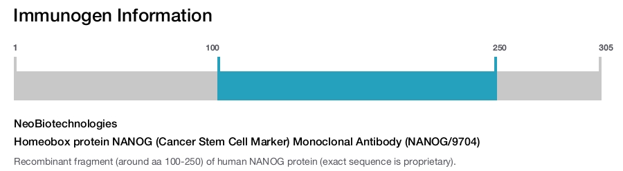 Homeobox protein NANOG (Cancer Stem Cell Marker) Monoclonal Antibody (NANOG/9704)