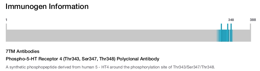 Phospho-5-HT Receptor 4 (Thr343, Ser347, Thr348) Polyclonal Antibody