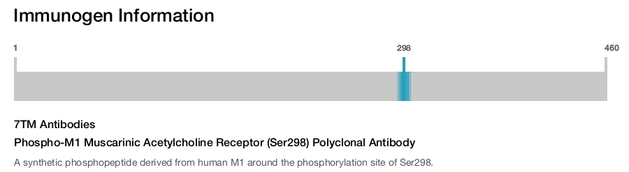Phospho-M1 Muscarinic Acetylcholine Receptor (Ser298) Polyclonal Antibody