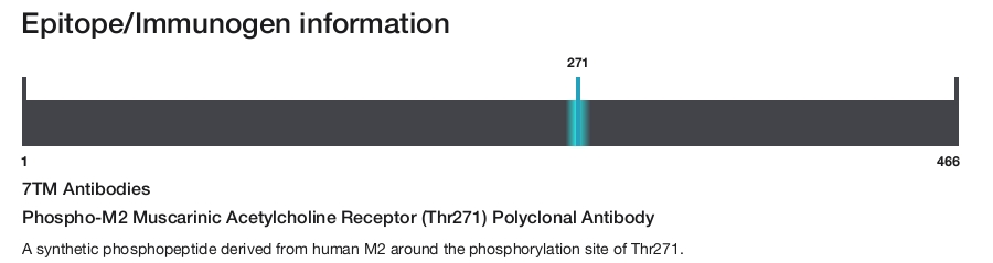 Phospho-M2 Muscarinic Acetylcholine Receptor (Thr271) Polyclonal Antibody