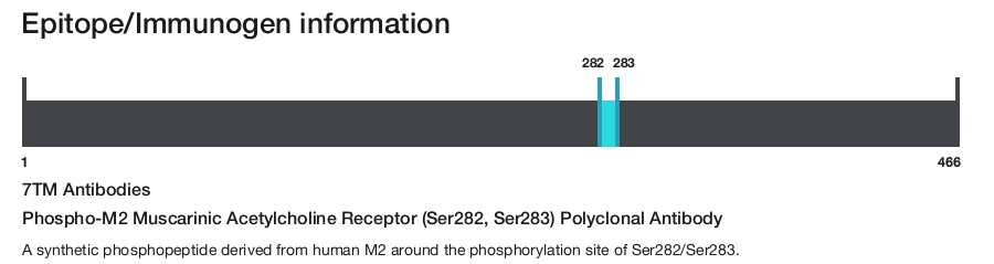 Phospho-M2 Muscarinic Acetylcholine Receptor (Ser282, Ser283) Polyclonal Antibody