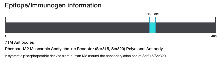 Phospho-M2 Muscarinic Acetylcholine Receptor (Ser315, Ser320) Polyclonal Antibody