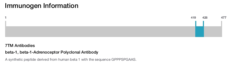 beta-1, beta-1-Adrenoceptor Polyclonal Antibody