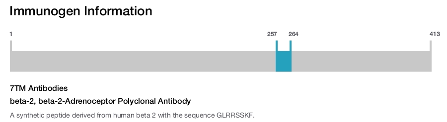 beta-2, beta-2-Adrenoceptor Polyclonal Antibody