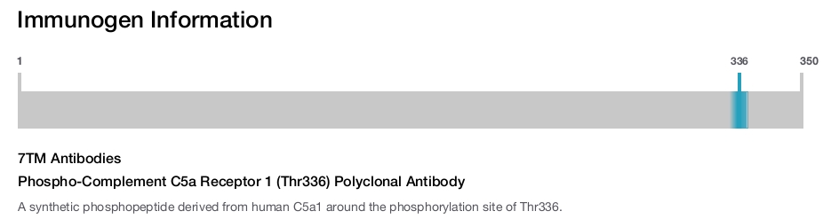 Phospho-Complement C5a Receptor 1 (Thr336) Polyclonal Antibody