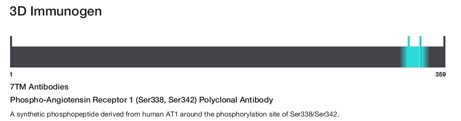 Phospho-Angiotensin Receptor 1 (Ser338, Ser342) Polyclonal Antibody