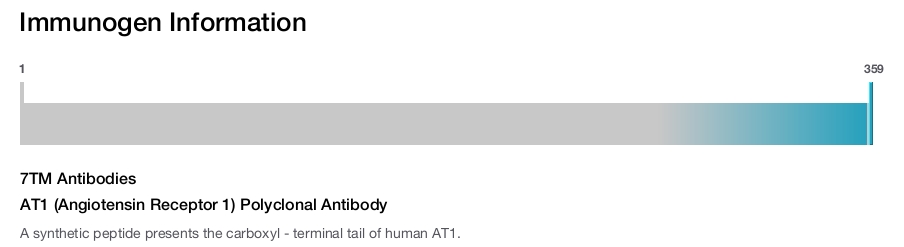 AT1 (Angiotensin Receptor 1) Polyclonal Antibody