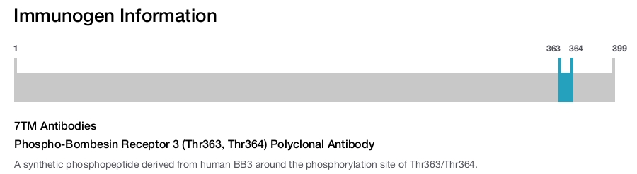 Phospho-Bombesin Receptor 3 (Thr363, Thr364) Polyclonal Antibody